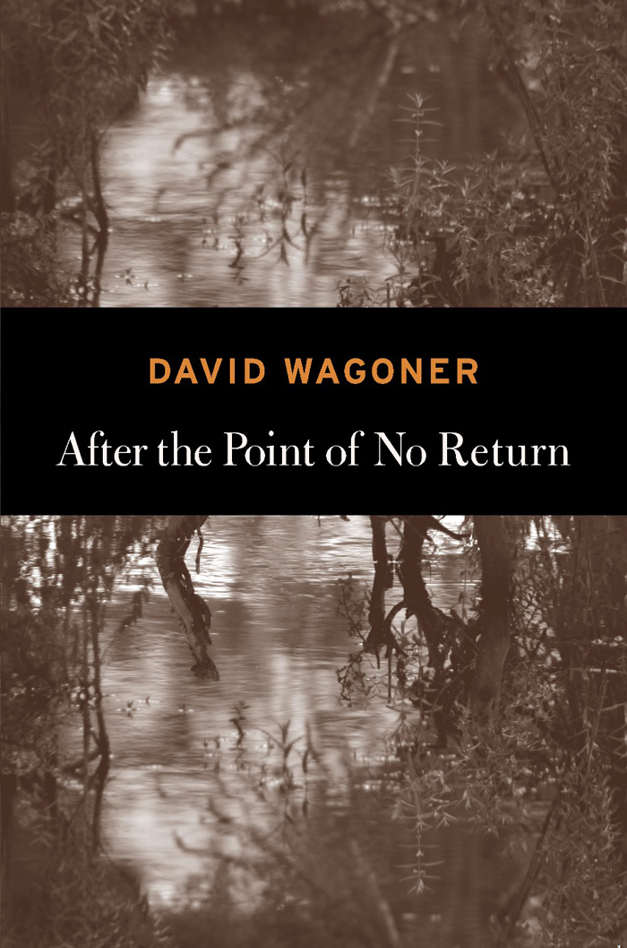 After the Point of No Return by David Wagoner - Copper Canyon Press