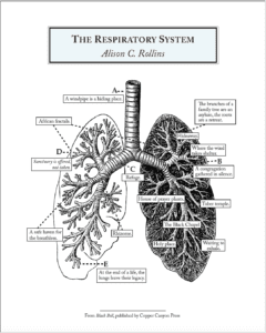 Black Bell Broadside