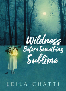 Cover Art - Wilderness Before Something Sublime