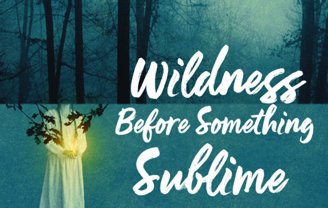 Cover for Wildness Before Something Sublime by poet Leila Chatti